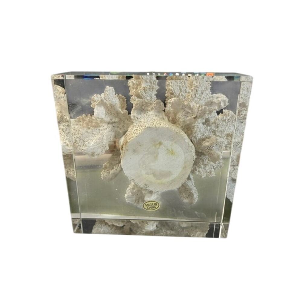 Faux Coral Reef Sculpture Coastal Beach Decor On Glass Base White - Picture 4 of 4